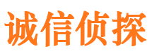 富平市侦探调查公司